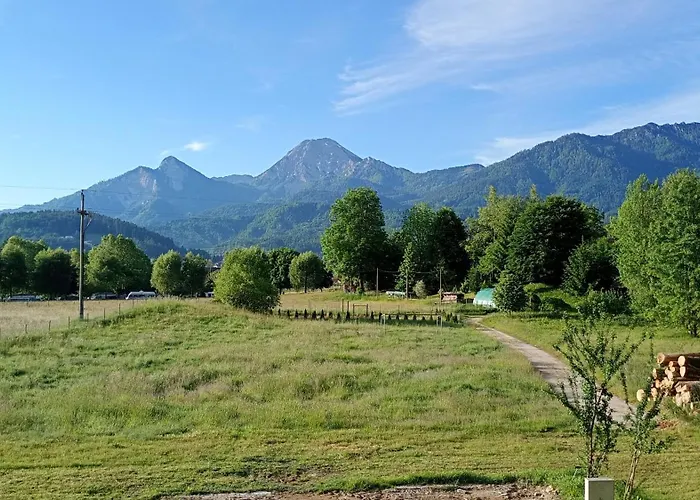 Seesternchen
