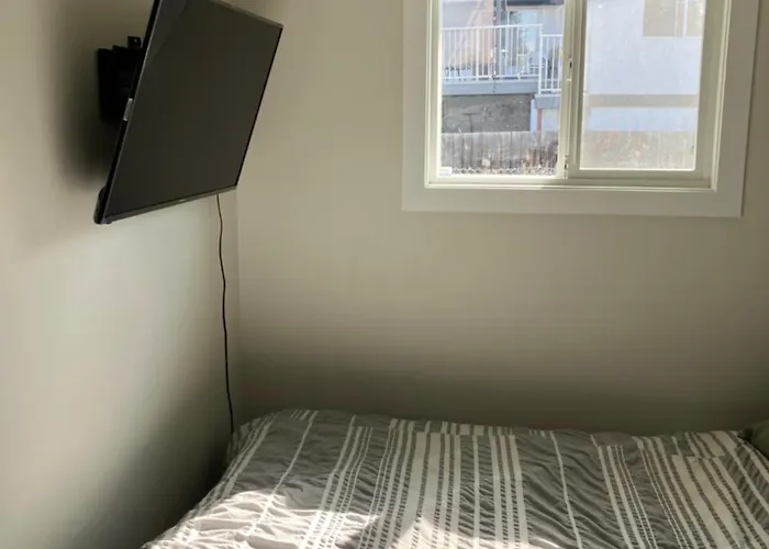 Welcome To The Cozy Studio