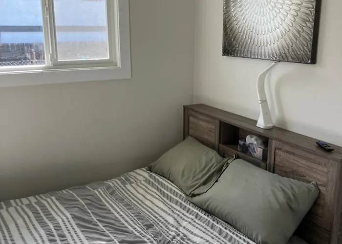 Welcome To The Cozy Studio