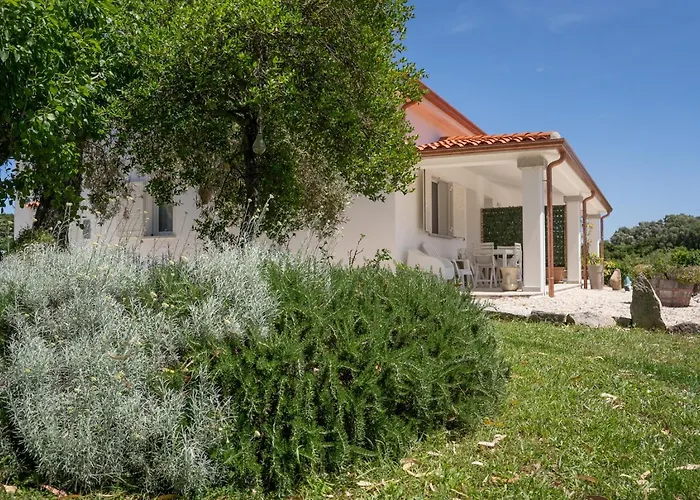 Casa Vacanze Olbia - Alebea -