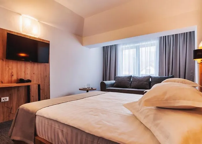 Hotel Domnitei