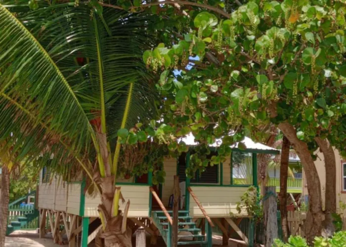 Coconut Cottage -Westbys Coconut Cottage Placencia