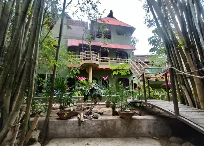 Botanical Studios Sayulita