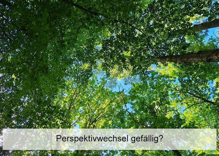 Ostsee-Urlaub-Zempin Direkt Am Kuestenwald, Nur Wenige Minuten Zum Strand, Optimal Fuer Paare Mit 1 Hund Bis 45 Cm Schulterhoehe
