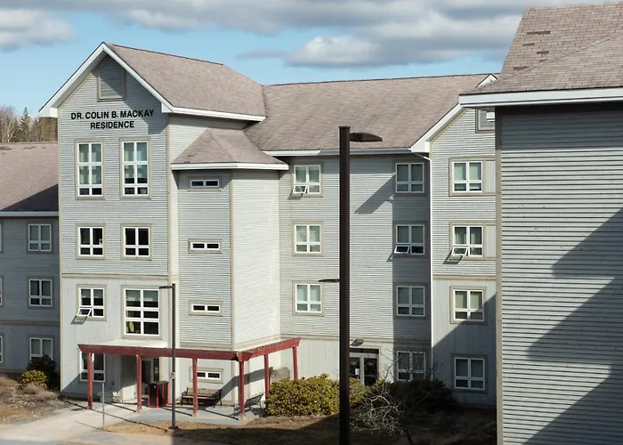 University Of New Brunswick Summer Hotel