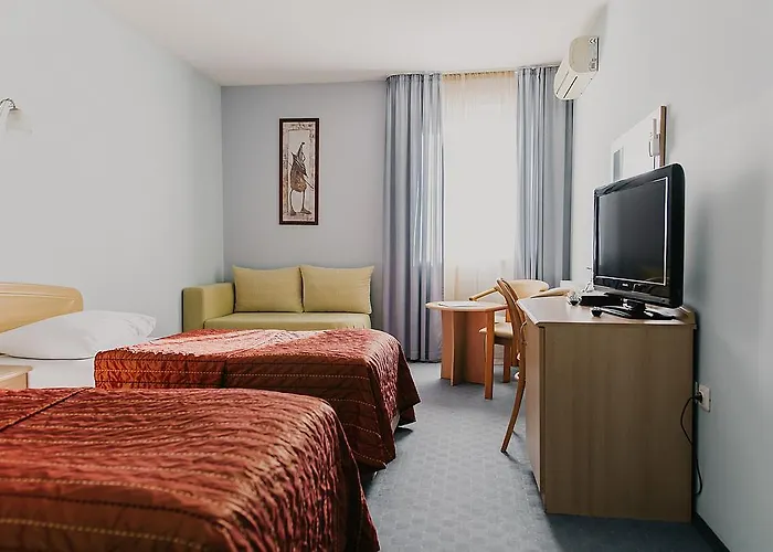 Hotel Silver
