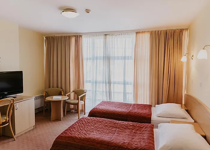 Hotel Silver