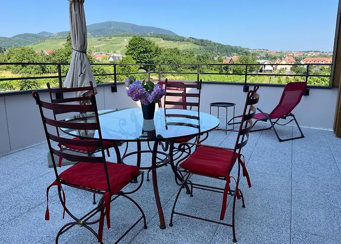 La Terrasse Du Vignoble - Garage Et Parking Privatifs