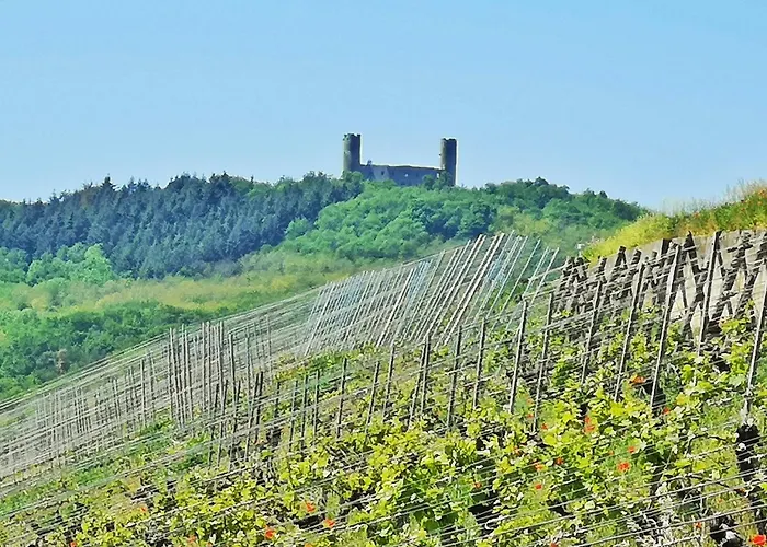 Splendide Appartement Barr - Route Du Vins