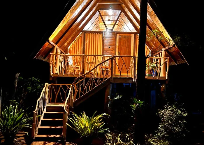 The Mango Garden