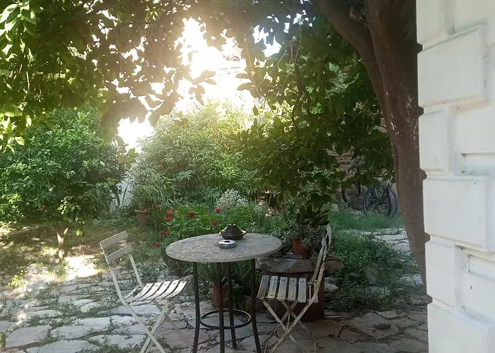 Hakimemilas
