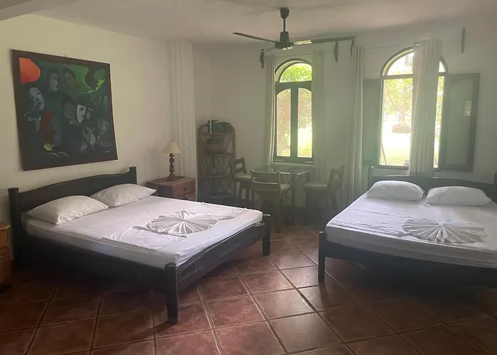Spirit Of Jungle Lodge