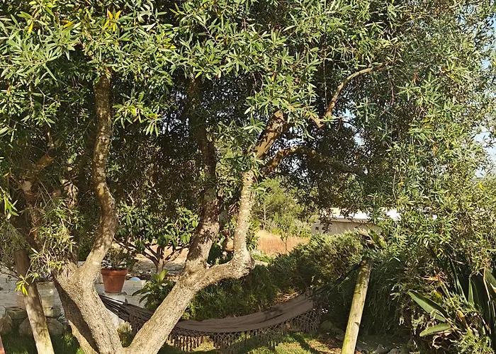 Montes Da Salvada