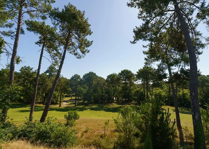 Maison Chapron Villa De Standing Avec Piscine, Calme Et Golf A Biscarrosse