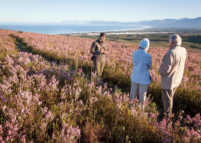 Grootbos Private Nature Reserve