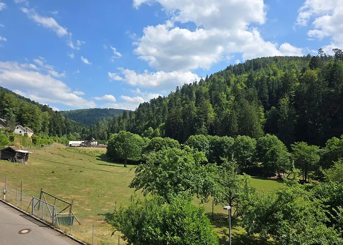 Hirsch Panorama