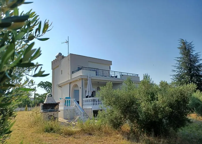 Palataki