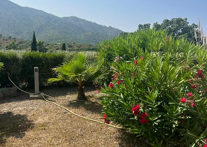 Cala Di Mare