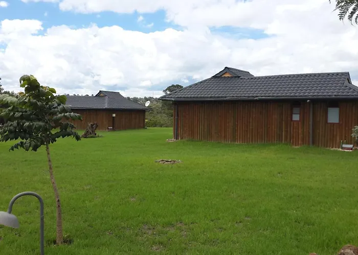 The Nelion