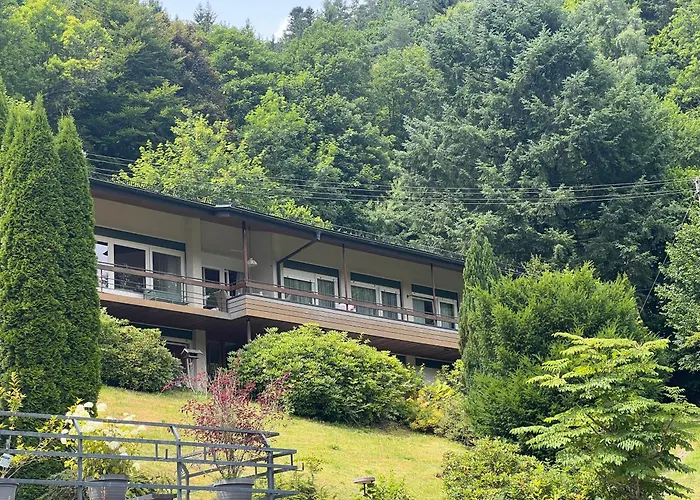 1-Zimmer Appartement Mit Talblick
