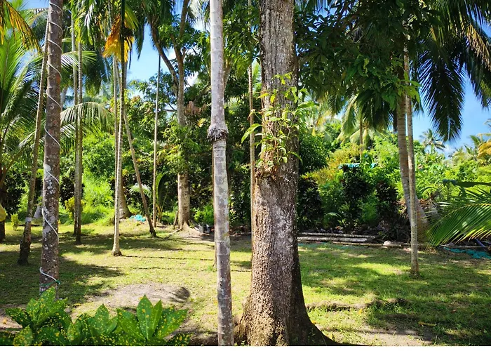Blue Lagoon Resort, Neil Island