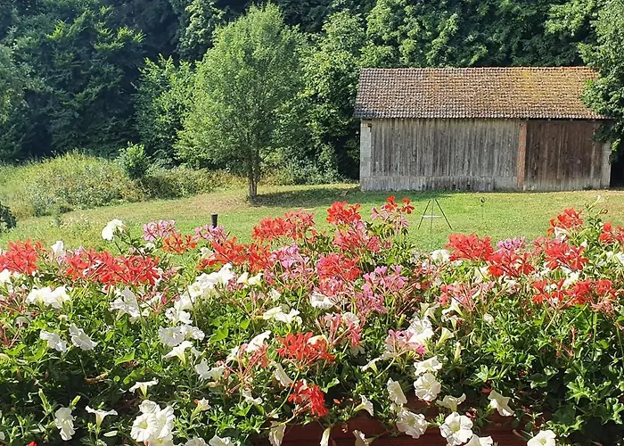 Gasthaus Zum Schneider