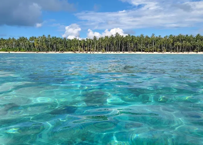 Twin Palms Villa And Homestay