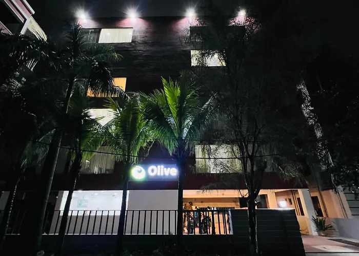 Olive Service Apartments - Hicc Hitex Kondapur