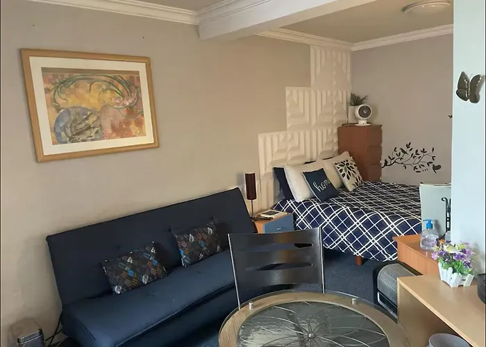 Amplia Habitacion Tipo Ejecutiva Con Bano Y Acceso Privados