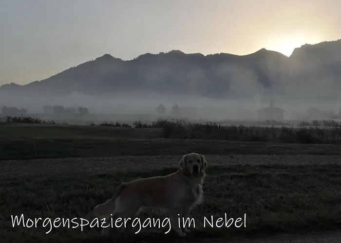 Beste Zeit Ferienwohnung