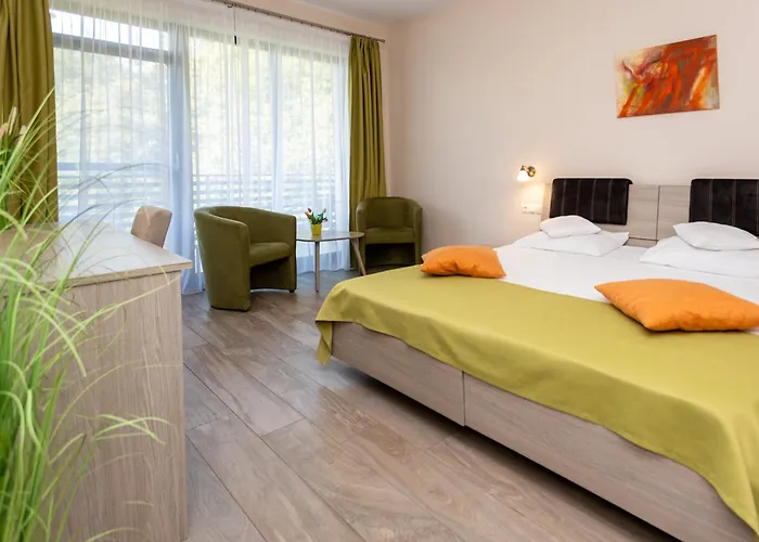 Hotel Nicoleta