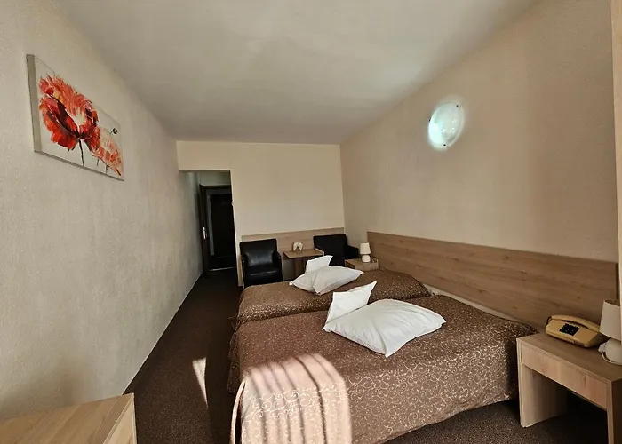 Hotel Mures