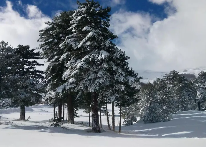 Rifugio Il Ginepro Dell'Etna