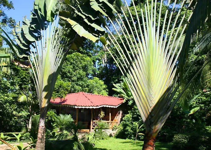 Hotel La Costa De Papito
