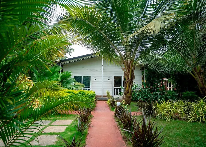 White Truffle Resort, Arambol