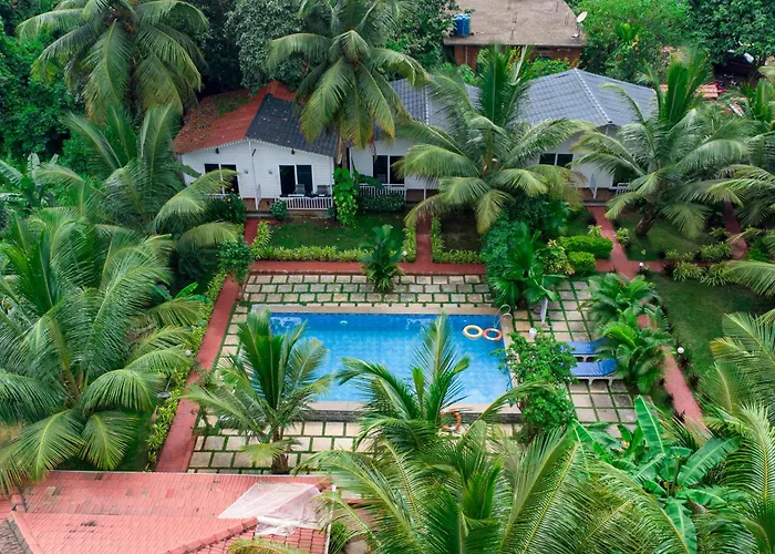 White Truffle Resort, Arambol