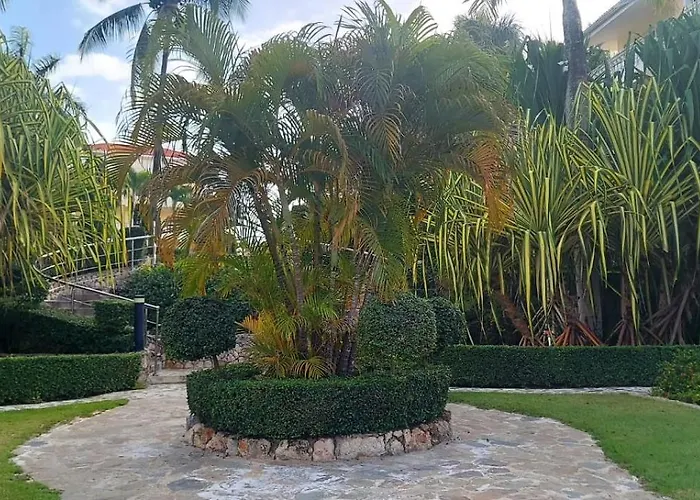 Residencial Las Palmeras De Willy Boca Chica