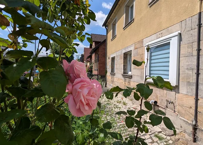 Wallfried #1 Ferien- Und Business Appartement Bayreuth