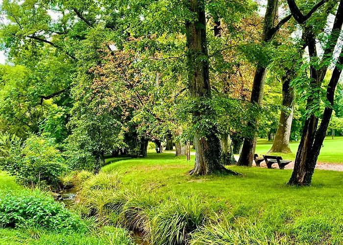 -Am Pfuehlpark- Ferienwohnung