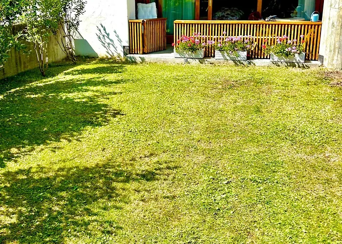 Alpine Studio Apartment