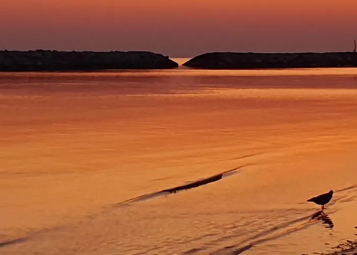 Playa Degli Angeli Grecale