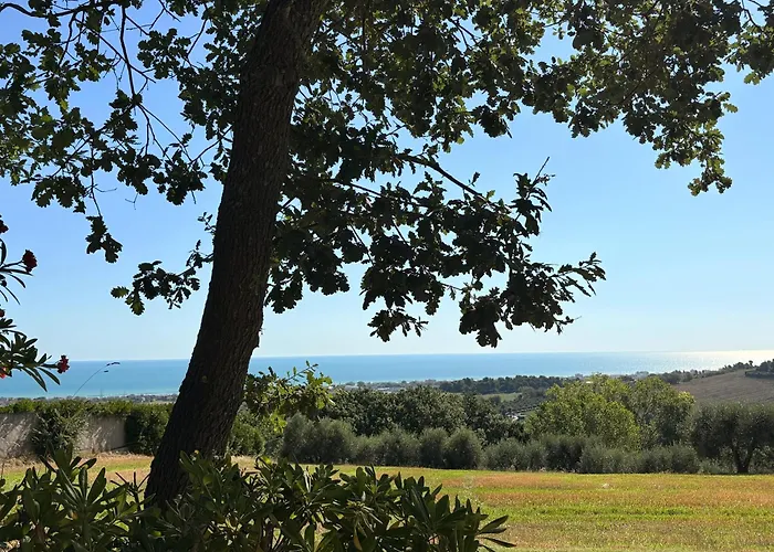 Countryshore