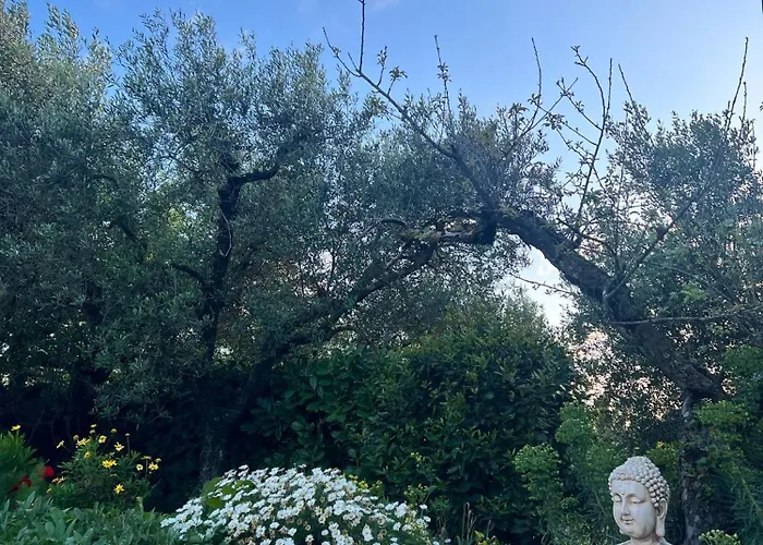 Casa Vacanze Podere Radici