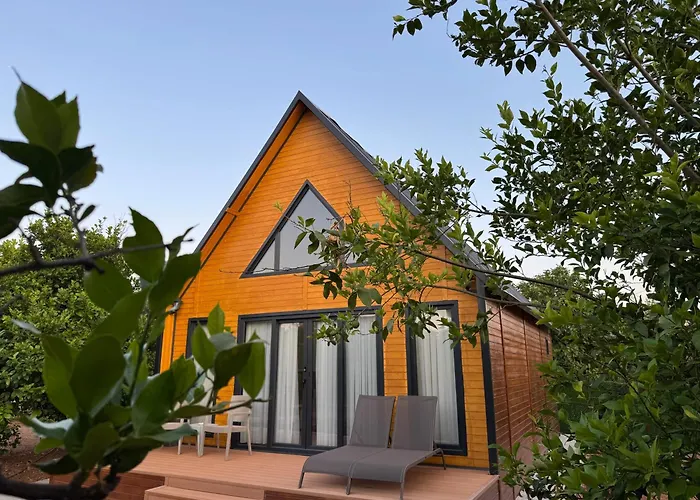 Pakis Bungalov