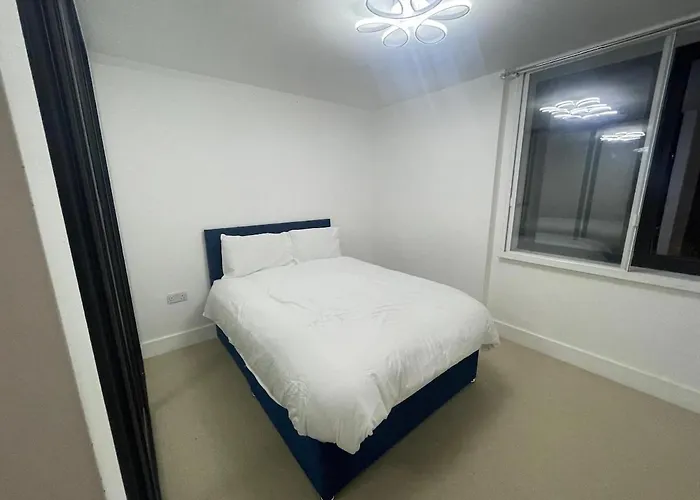 Spacious Flat For Professional