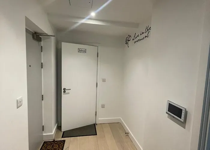 Spacious Flat For Professional