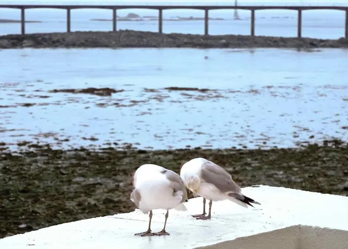Ibis Roscoff Bord De Mer