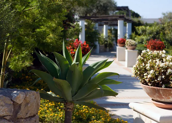 Hotel Al Mulino - Mediterranean Garden Retreat in AnaCapri