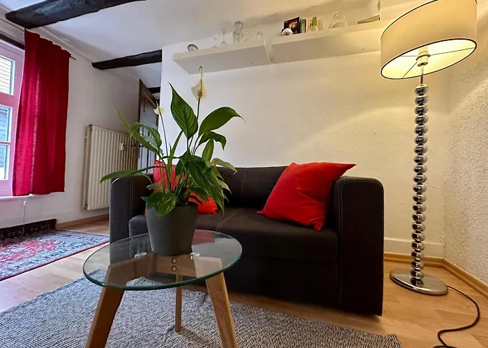 Dd Stay - Baumeisterhaus Apartment