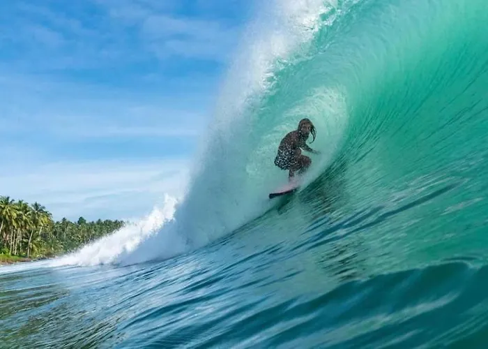 Playgrounds Sabbit Mentawai Surfcamp